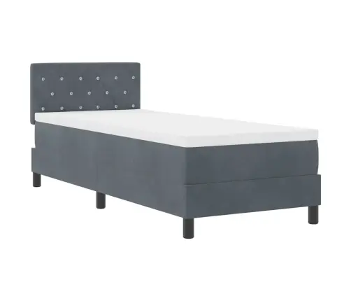 Kastītes Atsperu Gulta Tumši Pelēka 80 X 200 Cm Samts Vidaxl