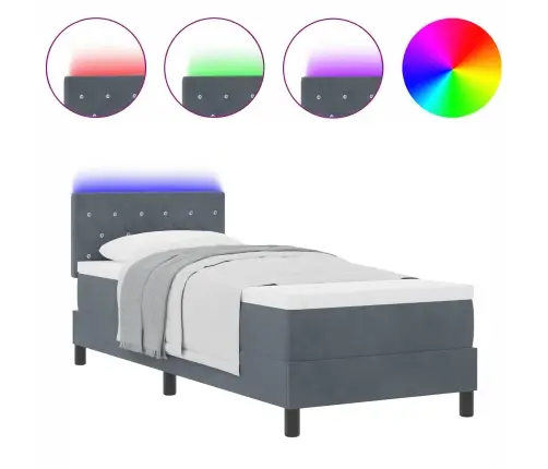 Kastītes Atsperu Gulta Tumši Pelēka 80 X 200 Cm Samts Vidaxl