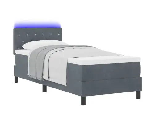 Kastītes Atsperu Gulta Tumši Pelēka 80 X 200 Cm Samts Vidaxl