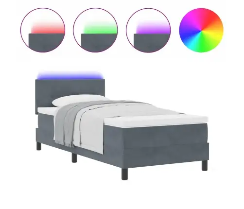 Kastītes Atsperu Gulta Tumši Pelēka 80 X 200 Cm Samts Vidaxl