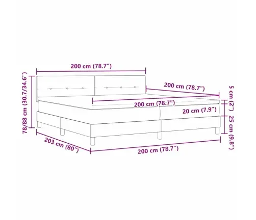 Kastītes Atsperu Gulta Ar Matraci Un Led Melnā 200X200 Cm Samta Vidaxl
