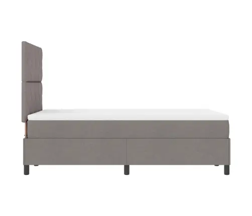 Box Spring Gulta Ar Matraci Un Led Taupe Krāsā, 120 X 200 Cm Auduma Vidaxl
