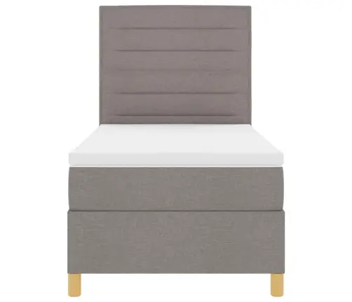 Led Čiužinio Lova Su Čiužiniu Taupe 100 X 200 Cm Audinys