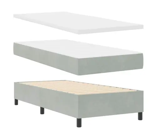 Kastītes Atsperu Gulta Gaiši Pelēks 100 X 200 Cm Samts Vidaxl