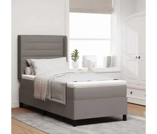 Led Čiužinio Lova Su Čiužiniu Taupe 80 X 200 Cm Audinys