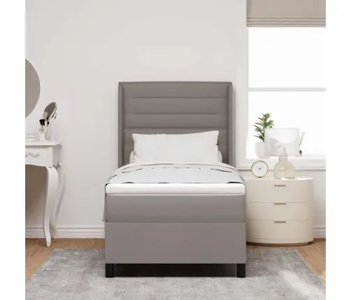 Led Čiužinio Lova Su Čiužiniu Taupe 80 X 200 Cm Audinys