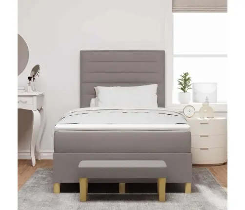 Kastītes Atsperu Gulta Pelēkbrūna 120 X 200 Cm Audums Vidaxl