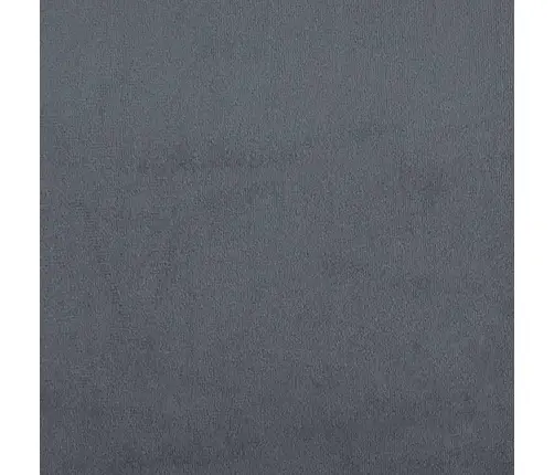 Kastītes Atsperu Gulta Tumši Pelēka 160 X 200 Cm Samts Vidaxl