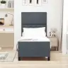 Gulta Tumši Pelēka 80X200 Cm Samts Vidaxl