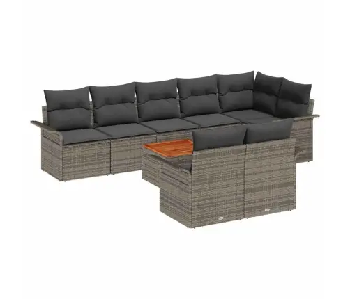 Aia Diivanikomplekt Ladustamisega 9 Pcs Hall Polürotang