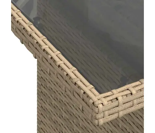 Aia Diivanikomplekt Padjaga Padjaga 6 Pcs Beež Polü Rattan