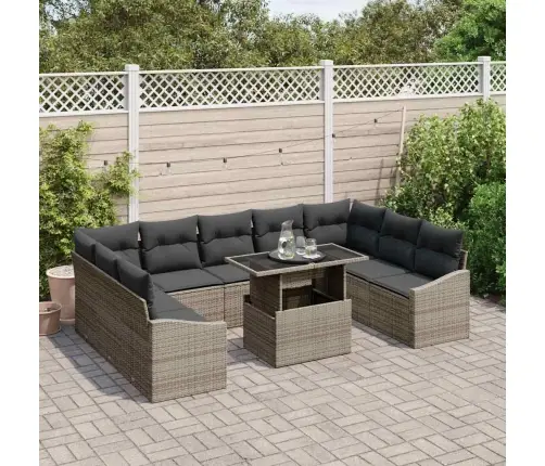 10 Daļu Dārza Dīvānu Komplekts Ar Spilveniem Pelēkā Poli Rotangpalma Vidaxl