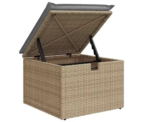 Aia Diivanikomplekt Padjaga Ladustamisega 6 Pcs Beež Polürotang