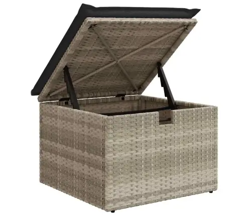 Aia Diivanikomplekt Padjaga Ladustamisega 6 Pcs Polürooster