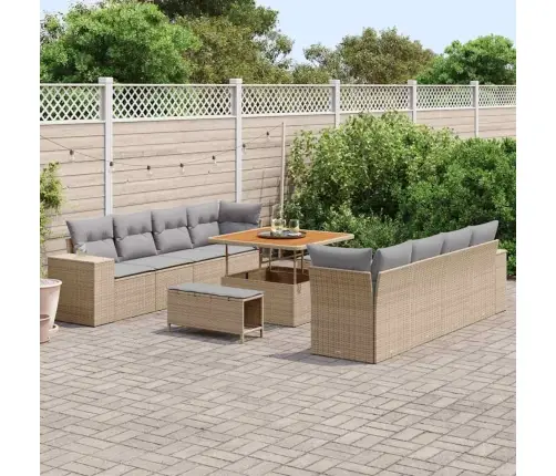 11 Daļu Dārza Dīvānu Komplekts Ar Spilveniem Bēšs Poliratans, Akācija. Vidaxl