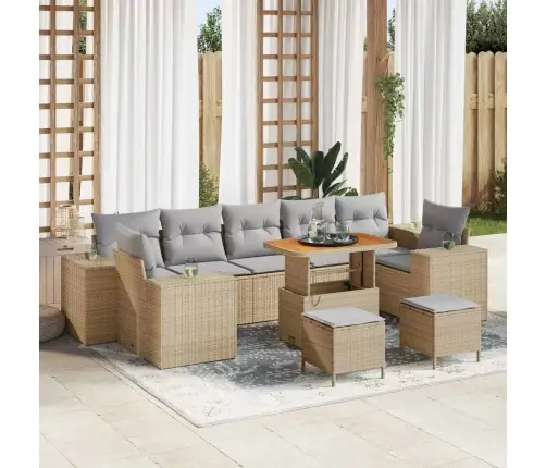 10 Daļu Dārza Dīvānu Komplekts Ar Bēšiem Spilveniem Vidaxl