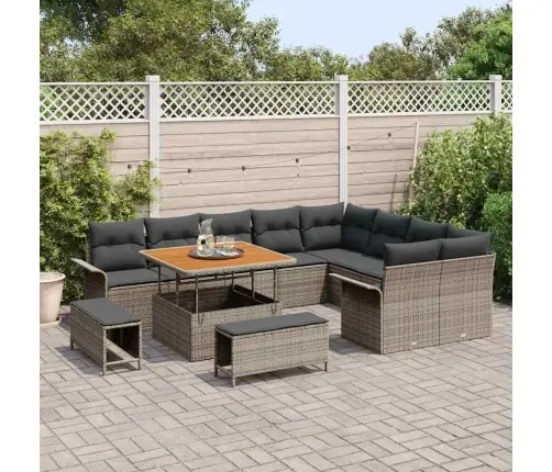 12 Daļu Dārza Dīvānu Komplekts Ar Spilveniem, Pelēks Polipinums, Akācija. Vidaxl