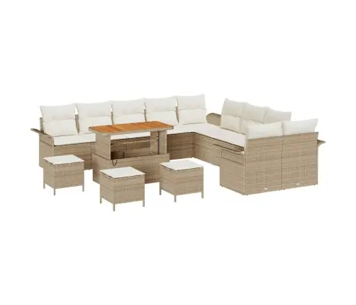 14 Daļu Dārza Dīvānu Komplekts Ar Bēšiem Spilveniem Polirattanā, Akācija Vidaxl