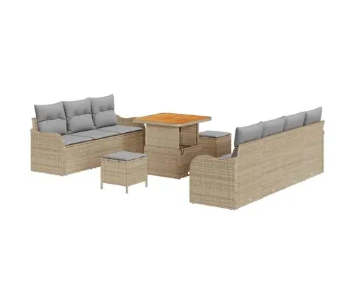 10 Daļu Dārza Dīvānu Komplekts Ar Bēšiem Spilveniem No Polirasēna Akācijas Vidaxl