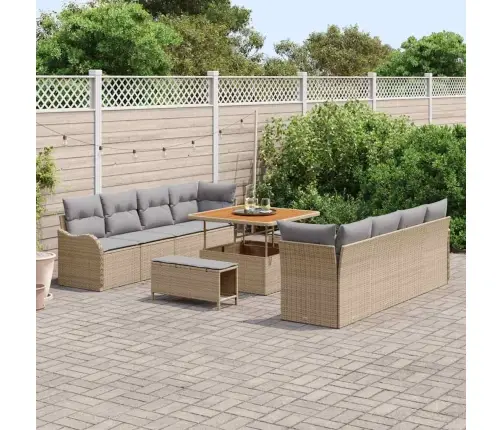 11 Daļu Dārza Dīvānu Komplekts Ar Spilveniem, Bēšs, Polirattan, Akācija Vidaxl