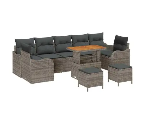 10 Daļu Dārza Dīvānu Komplekts Ar Spilveniem, Pelēkā Krāsā, Izgatavots No Polietilēna Un Akācijas Koka. Vidaxl