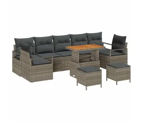 10 Daļu Dārza Dīvānu Komplekts Ar Spilveniem Pelēks Poli Rattan Akācija Vidaxl