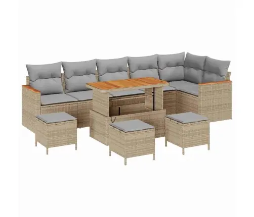 10 Daļu Dārza Dīvānu Komplekts Ar Spilveniem Bēša Poli Rotangpalma Akācija Vidaxl