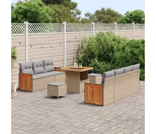 10 Daļu Dārza Dīvānu Komplekts Ar Spilveniem Bēša Poli Rotangpalma Akācija Vidaxl