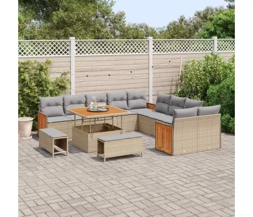 13 Daļu Dārza Dīvānu Komplekts Ar Spilveniem Bēšā Poli Rotangpalmas Akācijā Vidaxl