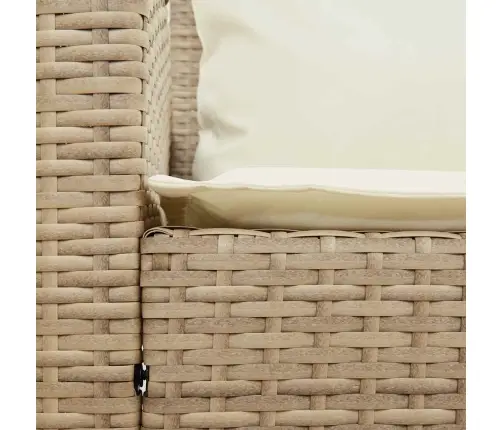 Aiadiivan Patjadega, Beež, Polürotang