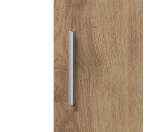 Aukštas Spintelė Artisano Ąžuolo 30 X 42.5 X 185 Cm