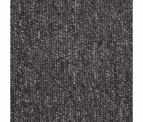 Trepimatid 30 Tk 56 X 17 X 3 Cm Antratsiithall Poolringikujuline