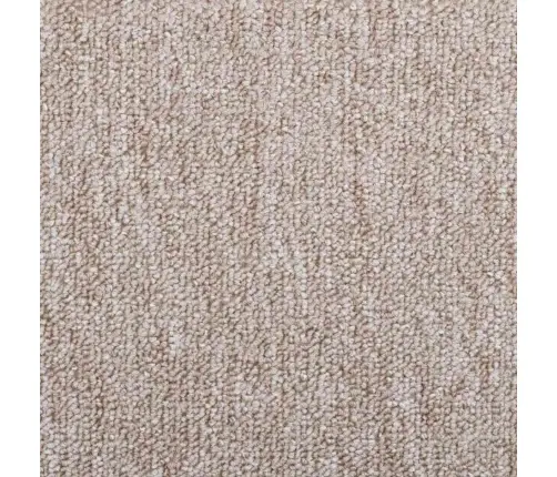 Kāpņu Paklājiņi, 20 Gab., Gaiši Brūni, 65X24X4 Cm Vidaxl