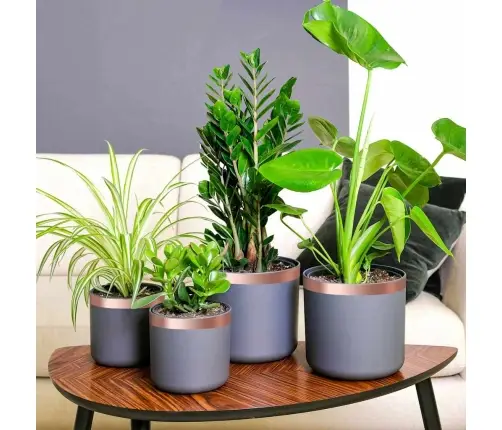 Vara Lente Varš 2000 X 5 Cm Vara, Akrila Vadītspējīgs Līmes Vidaxl