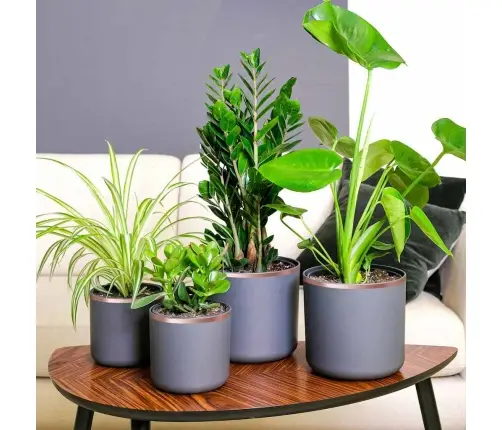 Vara Lente 6 Pcs Varš 2000 X 5 Cm Vidaxl