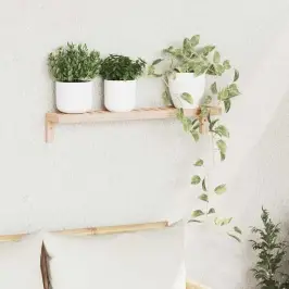 Sienas Piekārtu Plauktu Dabiska 62 X 10 X 12,5 Cm Vidaxl