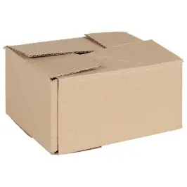 Salokāma Kaste 50 Pcs Brūna 20 X 15 X 10 Cm Kartons Vidaxl