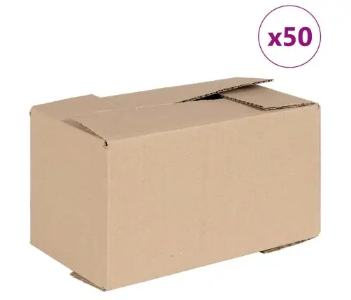 Salokāmā Kaste 50 Gab 24X13X13 Cm Kartons Vidaxl