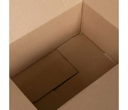 Salokāmā Kaste 50 Gab 30X21.5X14 Cm Kartons Vidaxl