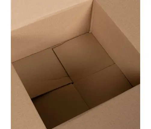 Salokāmā Kaste 50 Gab 30X30X15 Cm Kartons Vidaxl
