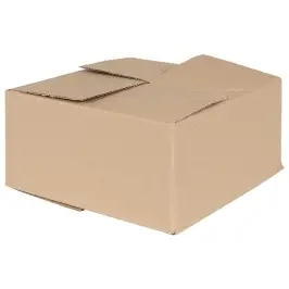 Salokāma Kaste 50 Pcs Dabiska 30 X 30 X 15 Cm Kartons Vidaxl Salokāma Kaste 50 Pcs Dabiska 30 X 30 X 15 Cm Kartons Vidaxl