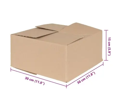 Salokāmā Kaste 50 Gab 30X30X15 Cm Kartons Vidaxl