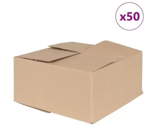 Salokāmā Kaste 50 Gab 30X30X15 Cm Kartons Vidaxl