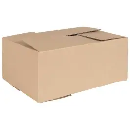 Salokāma Kaste 50 Pcs Dabiska 35 X 24 X 15 Cm Kartons Vidaxl