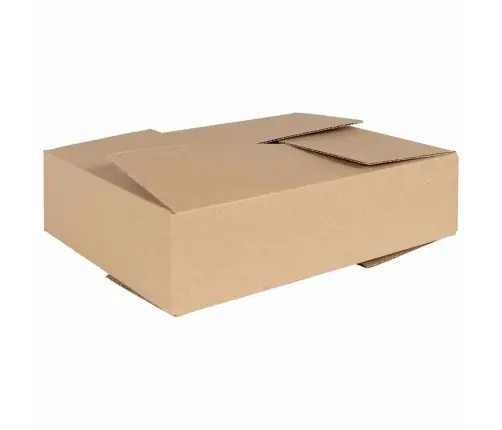 Saliekamā Kaste 50 Gab. 40X30X10 Cm Kartons Vidaxl