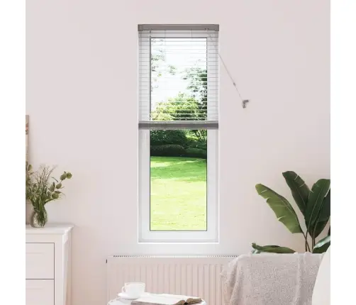 Aknarulo Kardinatega Hõbedane Alumiinium