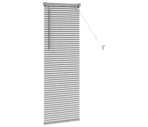 Aknarulo Kardinatega Hõbedane Alumiinium