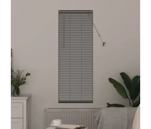 Aknarulo Kardinatega Hõbedane Alumiinium