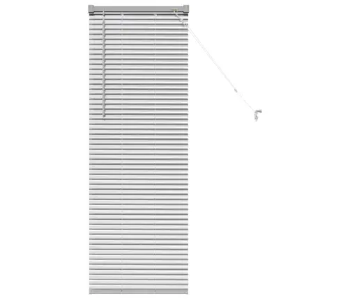 Aknarulo Kardinatega Hõbedane Alumiinium