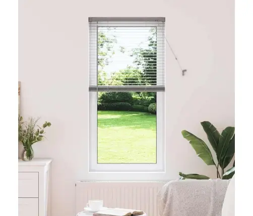 Aknarulo Kardinatega Hõbedane Alumiinium